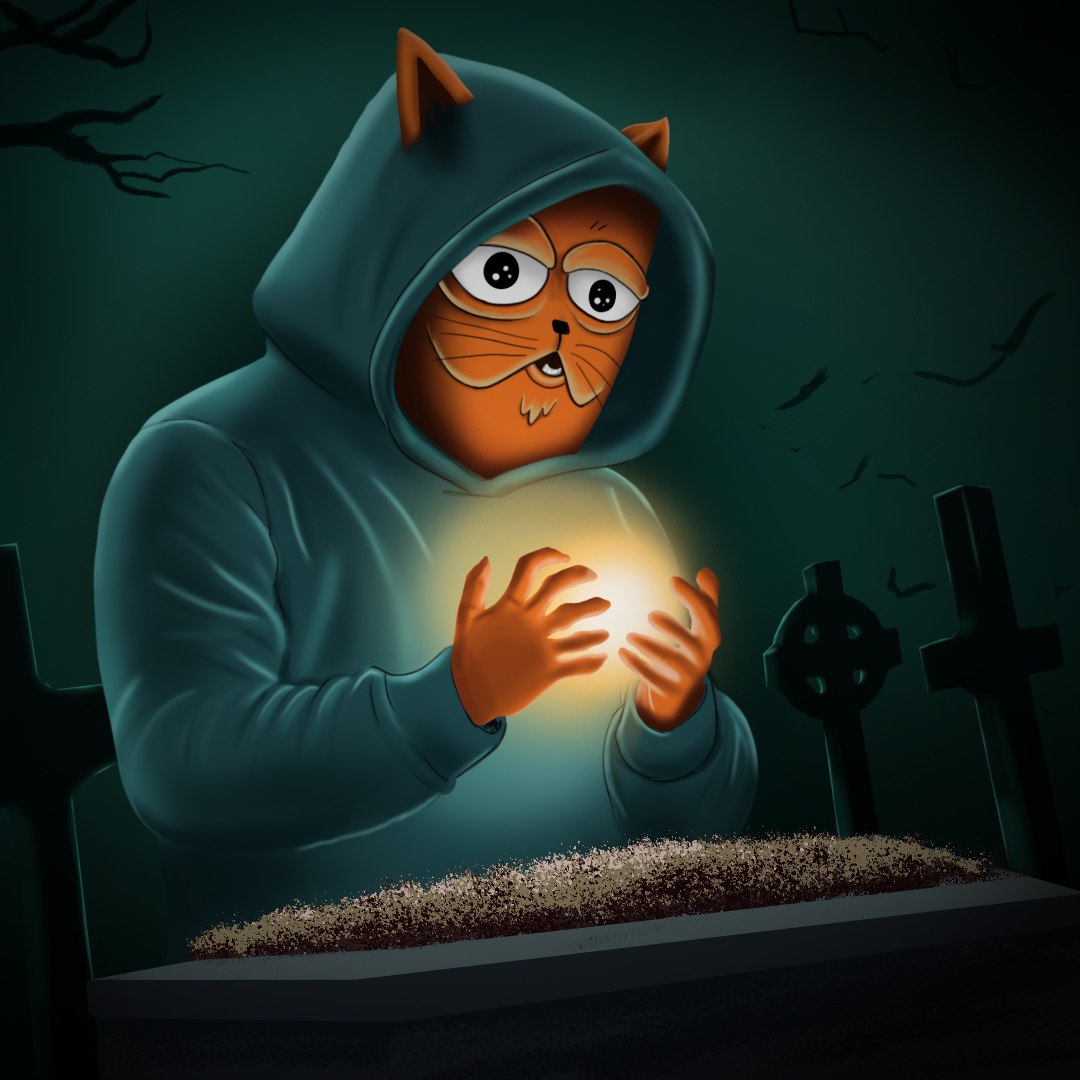 $MEOW is angry and about to rise from the grave
DEV failed to see the vision and dumped this poor kitty, animal cruelty is a big NO NO and the community is here to take care of it 
t.me/MEOWCT0PORTAL