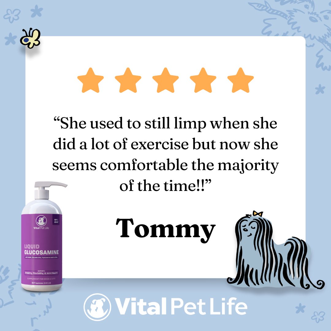 VitalPetLife's tweet image. Happy, healthy joints for dogs of all ages. 🐶❤️ #dogjointhealth #liquidglucosamine #vitalpetlife