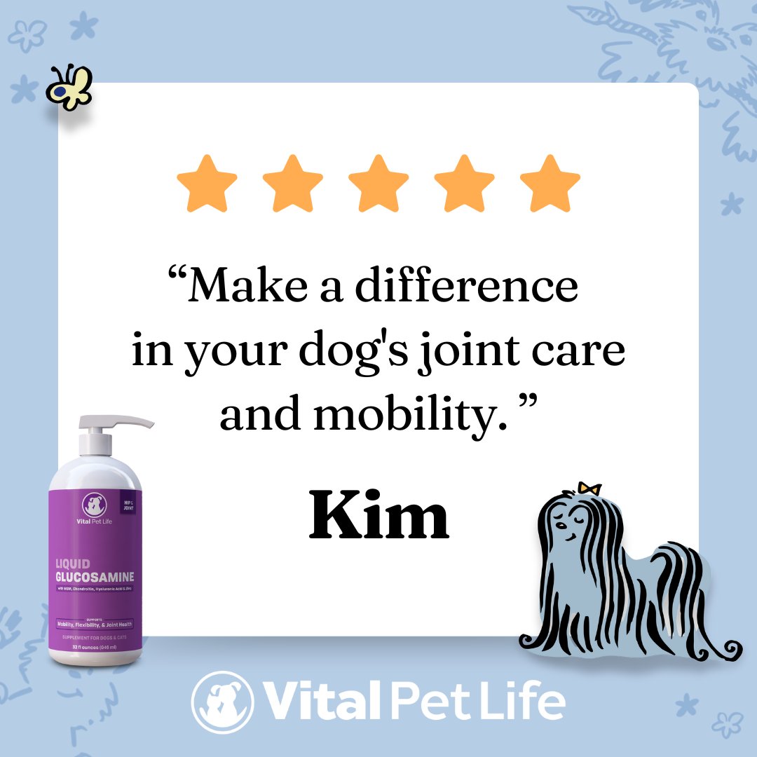 VitalPetLife's tweet image. Happy, healthy joints for dogs of all ages. 🐶❤️ #dogjointhealth #liquidglucosamine #vitalpetlife