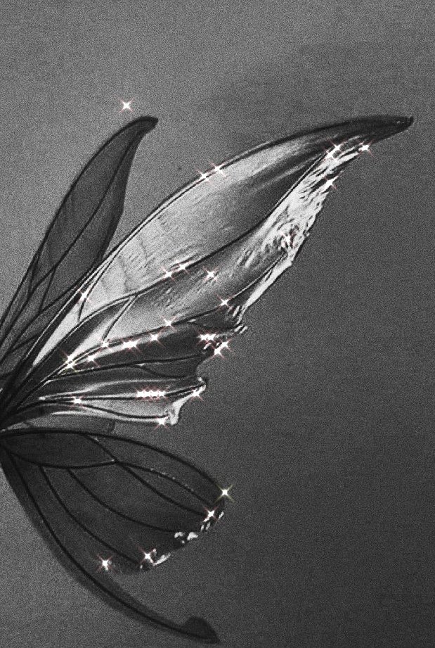 Sahar633237's tweet photo. ✩ angel without wings:) https://t.co/0Ufk3XfP76