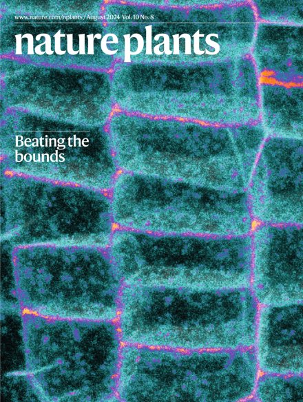 Liam Elliott (@lelliott_plants) on Twitter photo RLP4 gracing the cover of <a href="/NaturePlants/">Nature Plants</a> this month!
Check out <a href="/YvonJaillais/">Yvon Jaillais</a>, <a href="/NanoSignaling/">Julien Gronnier</a> and others’ review article on membrane polarity! RLP4 gracing the cover of <a href="/NaturePlants/">Nature Plants</a> this month!
Check out <a href="/YvonJaillais/">Yvon Jaillais</a>, <a href="/NanoSignaling/">Julien Gronnier</a> and others’ review article on membrane polarity!