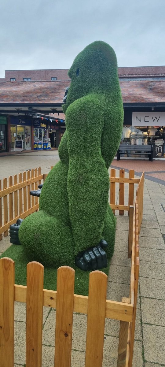 CreativeHatKH's tweet photo. Saw this in Letchworth @zoebread and thought of you. https://t.co/pxIdSTnQKC