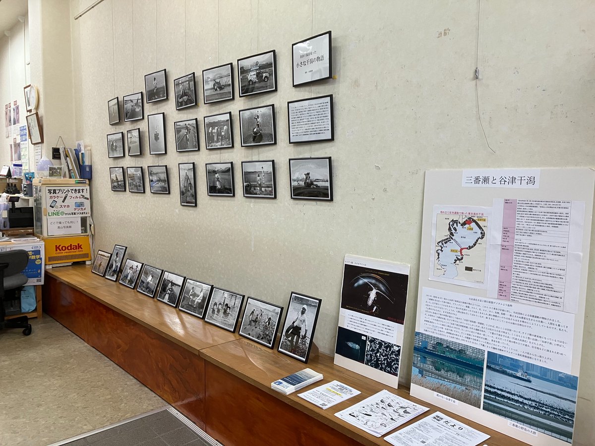 TakaPhotoStudio's tweet photo. 習志野の海を守る会とのコラボレーション。
1980年代からラムサール条約登録までの
谷津干潟の写真展を９/１(日)まで開催中です。
～小さな干潟の物語～　撮影 大滝俊隆 https://t.co/dGEyRVSf1B