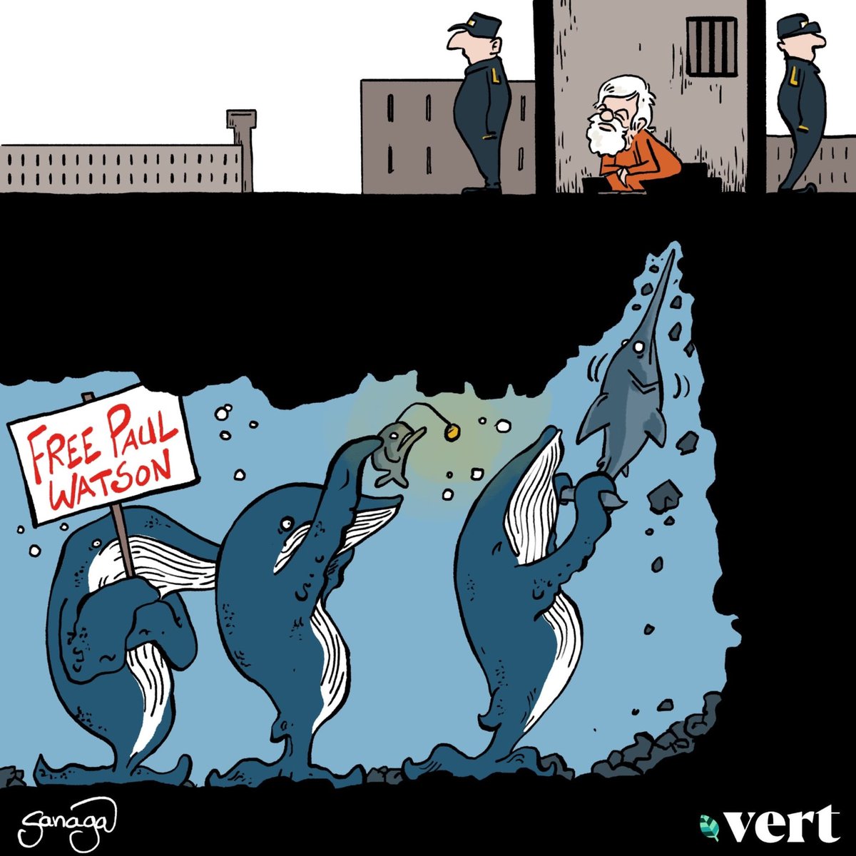 #freepaulwatson
Illustration : @Sanaga_Dessins