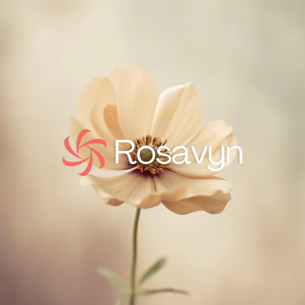 WarshDesigns's tweet image. Make a lasting impression with a professional logo and branding! I&apos;m passionate about helping businesses like yours thrive. 

Send me a DM to get started! 
.
.
.
.
#logoandbranding