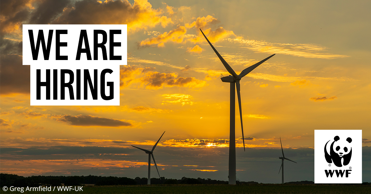 We’re recruiting for a Climate and Energy Policy Manager! 📢

This role will lead on accelerating climate action to net zero, with a current focus on transitioning homes to renewable heat sources. 🌍

Apply by 15th Sept. Learn more: ce0449li.webitrent.com/ce0449li_webre…