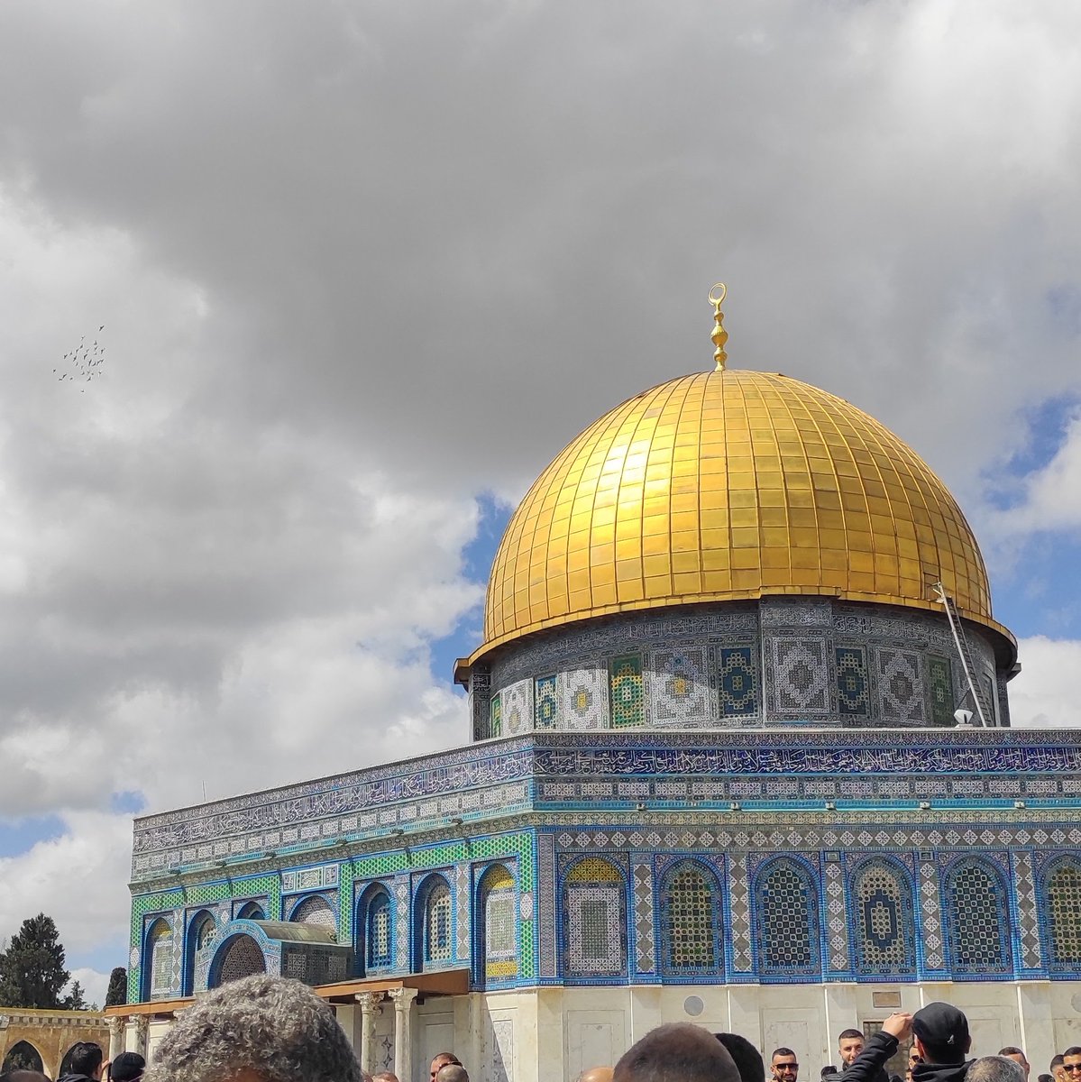 #صورة_ملف_شخصي_جديدة