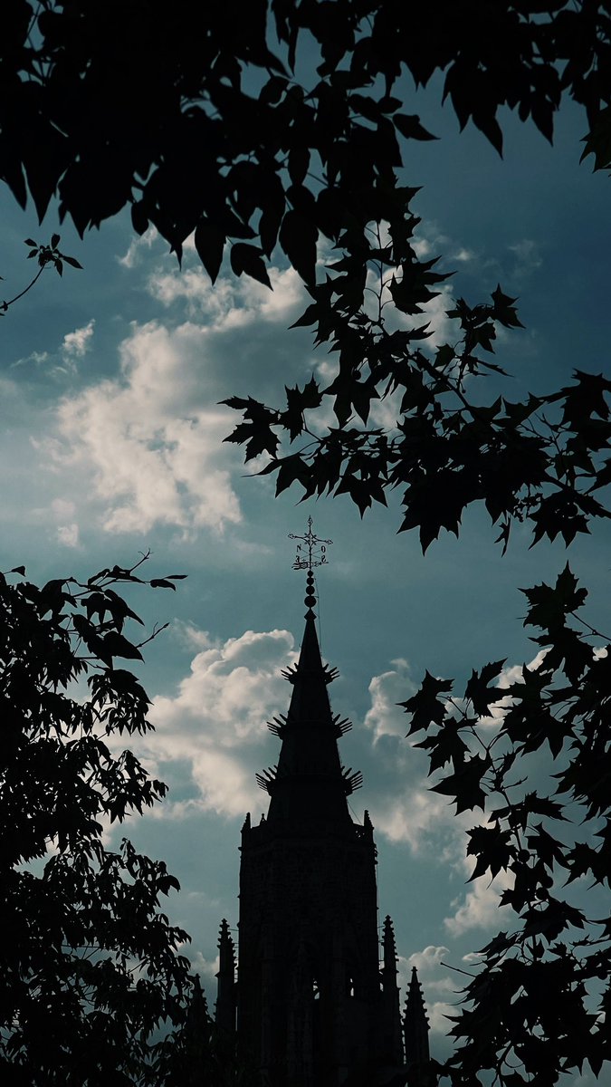 Siluetas por Toledo 🖤