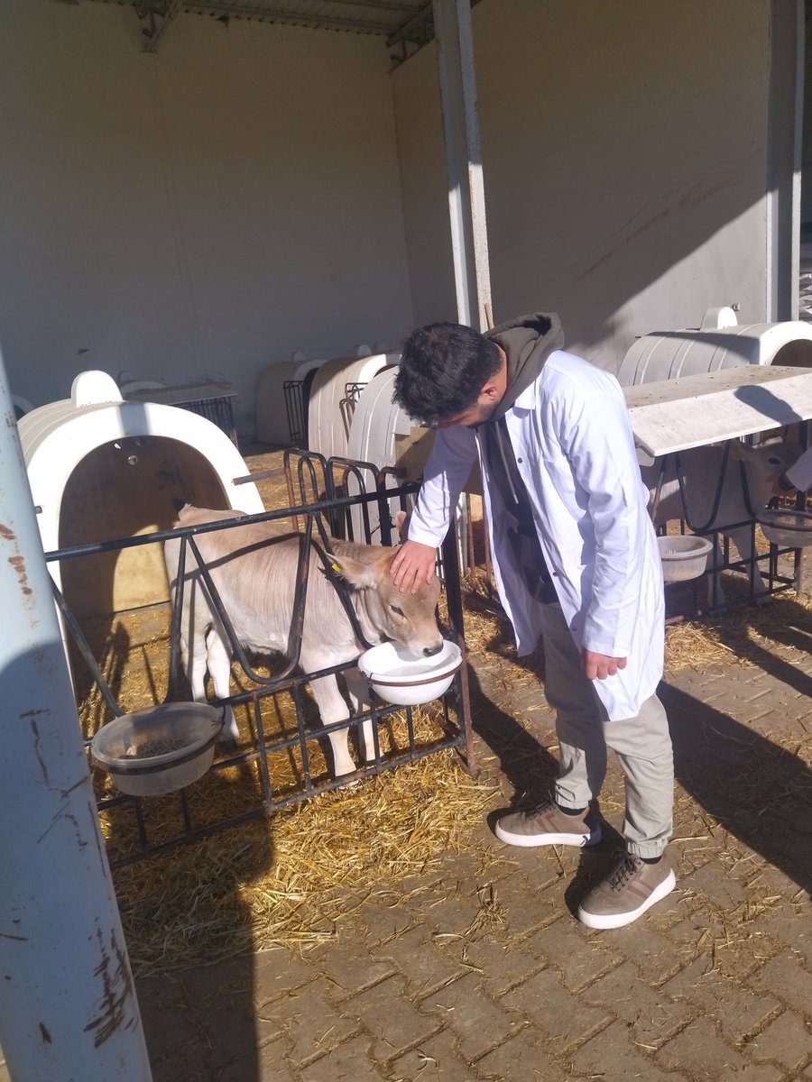 hadi hadi okulu açın kuruduk amkk