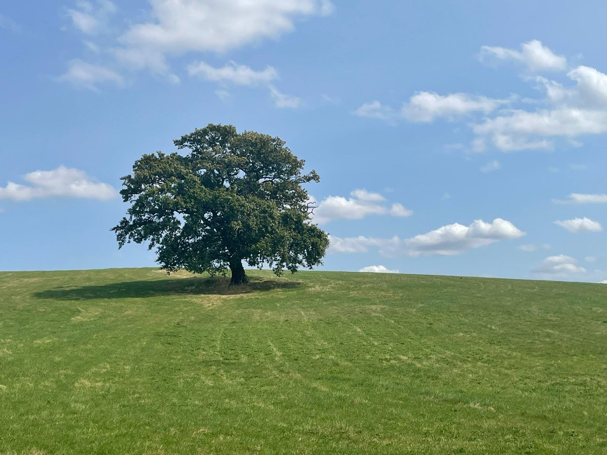 City of London goes to Essex: Members enjoyed the Epping Forest Oak Trail Walk on a rare sunny day.

It was an enjoyable day and we're looking forward to upcoming events including a tour of Mansion House and a visit to Girdlers Hall. 

#walk #london #aldgate #cityoflondon