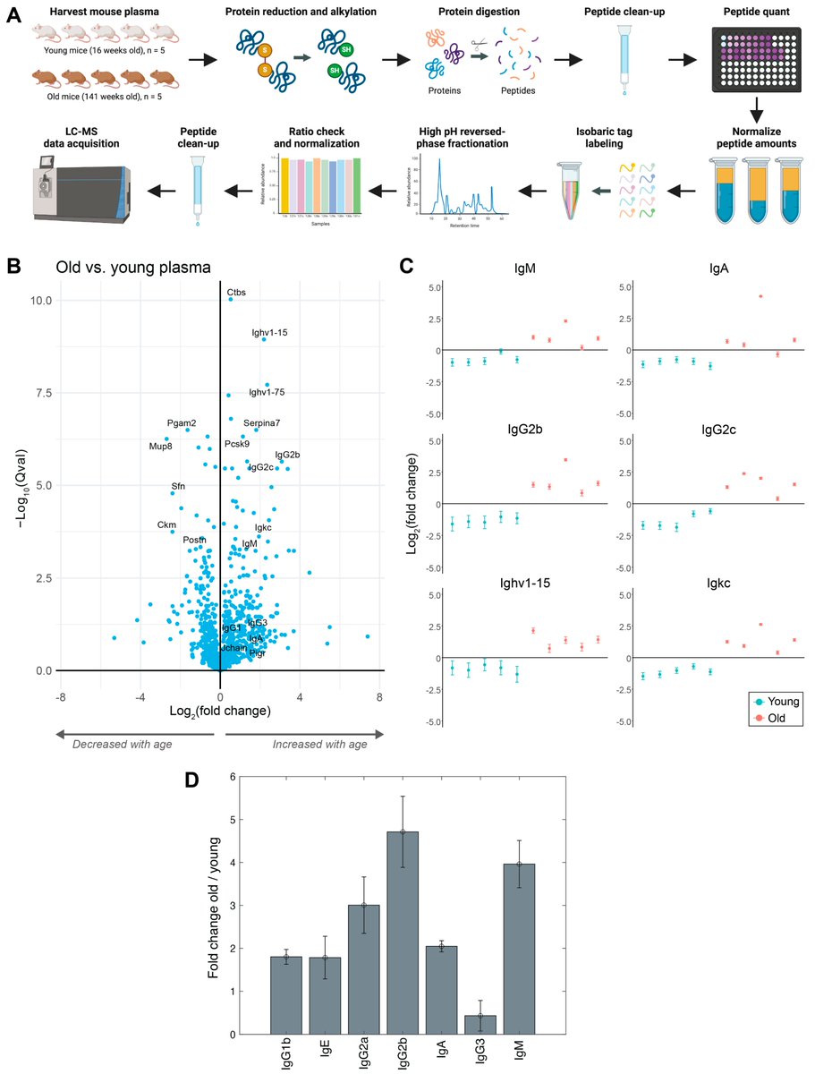 Proteomes_MDPI's tweet photo. 📢New research paper by Dr. Fiona Elizabeth McAllister's team: #Plasma and #Kidney #Proteome Profiling Combined with #Laser Capture #Microdissection Reveal Large Increases in #Immunoglobulins with Age https://t.co/VKuCR1lktO #mdpiproteomes via @Proteomes_MDPI https://t.co/8xMfurb764