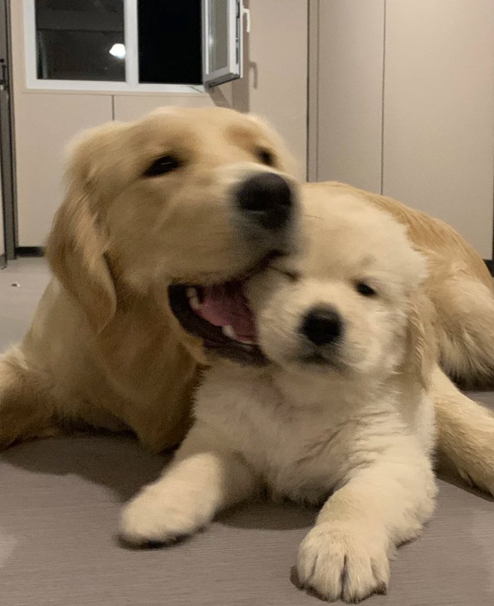 บ้บ tweet media