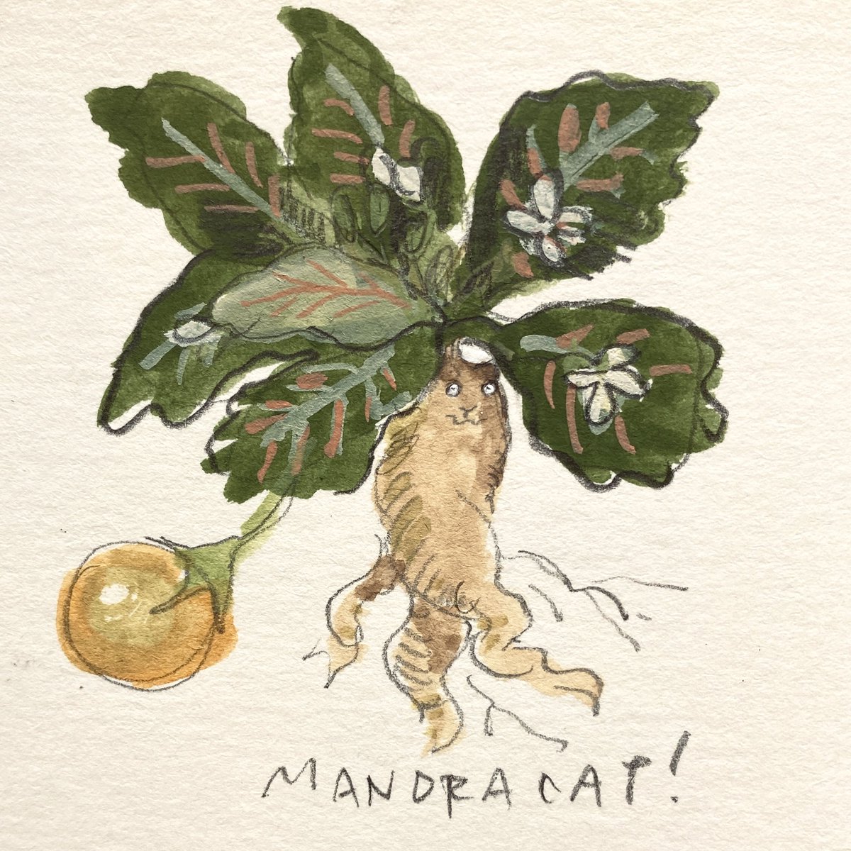 DAWNING CROW (@dawning_crow) on Twitter photo 