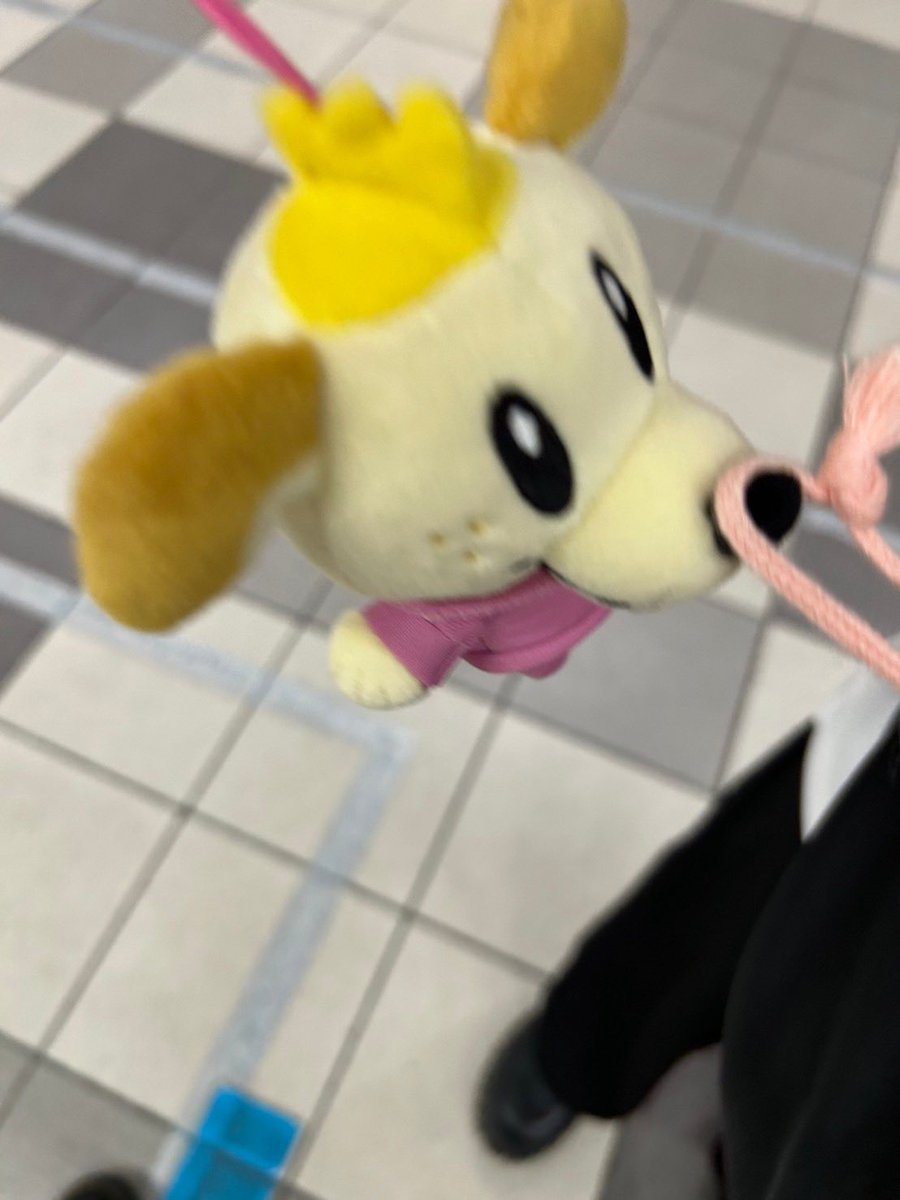 aarrii0111's tweet photo. さいきんのいぬ https://t.co/WDGt4P6M4H