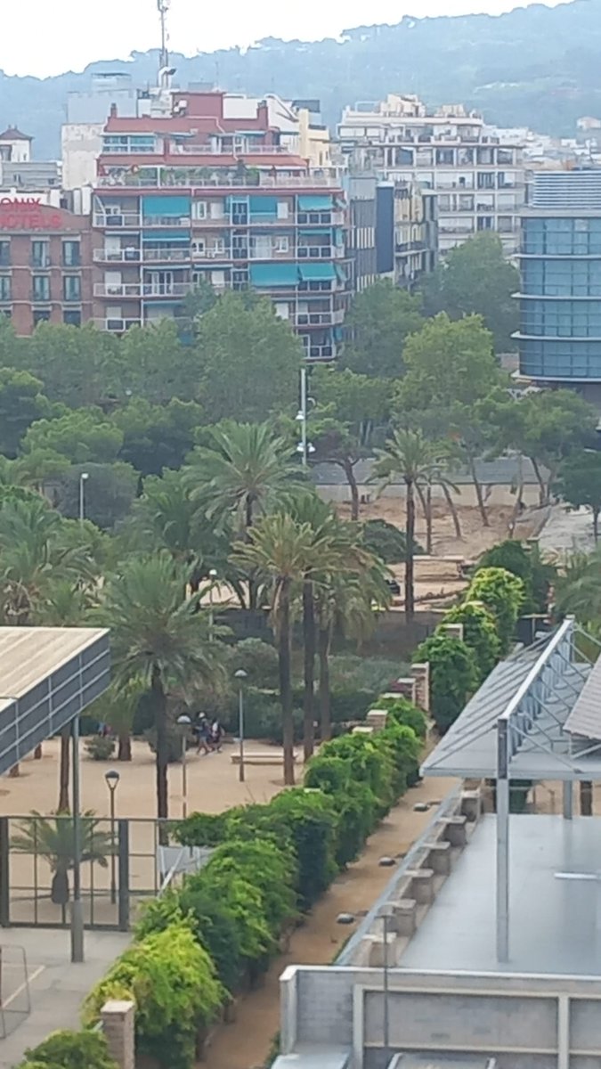Victoria Canalla #RegularizacionYa (@canalla_vicky) on Twitter photo Ya empezaron a cortar los árboles del parque Joan Miró, <a href="/jaumecollboni/">Jaume Collboni</a> sigue los pasos de <a href="/IdiazAyuso/">Isabel Díaz Ayuso</a> pero en #Barcelona
Cuando escucho a las izquierdas hablar de investir Gobiernos progresistas, me parto de risa, por no llorar de la rabia.
<a href="/bcn_ajuntament/">Ajuntament de Barcelona</a> <a href="/sindicaturabcn/">Sindicatura de Greuges de Barcelona</a> Ya empezaron a cortar los árboles del parque Joan Miró, <a href="/jaumecollboni/">Jaume Collboni</a> sigue los pasos de <a href="/IdiazAyuso/">Isabel Díaz Ayuso</a> pero en #Barcelona
Cuando escucho a las izquierdas hablar de investir Gobiernos progresistas, me parto de risa, por no llorar de la rabia.
<a href="/bcn_ajuntament/">Ajuntament de Barcelona</a> <a href="/sindicaturabcn/">Sindicatura de Greuges de Barcelona</a>