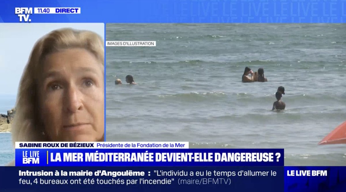 FondationMer's tweet photo. 🌡Pour la 2e année consécutive, la mer #Méditerranée a battu des records de chaleur ce qui a des conséquences dramatiques pour les espèces endémiques.
🔥Ces canicules marines sont comme un incendie sous-marin.
@SBezieux "On parle même de #tropicalisation de la mer Méditerranée." https://t.co/EtYYxyOXk4