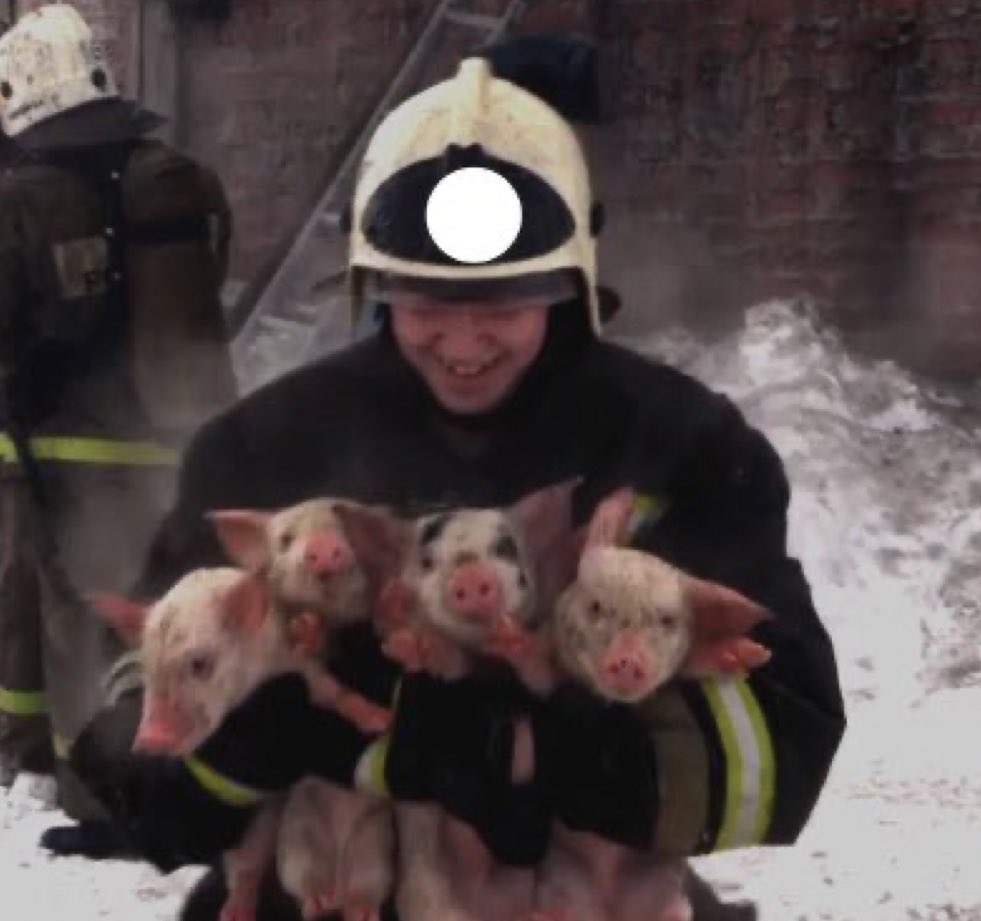 L’encyclopédiste 🌟 tweet media