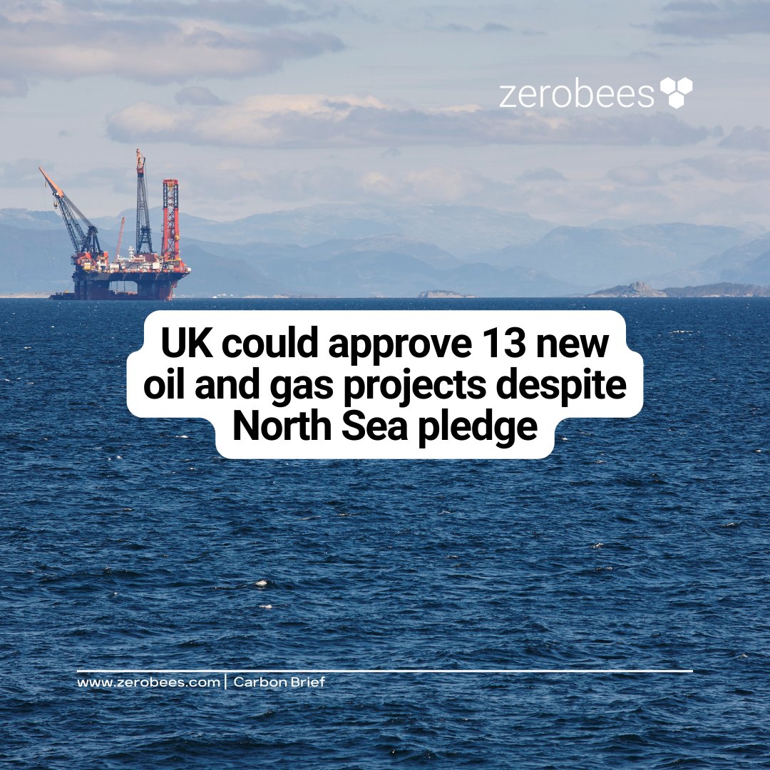 Zerobees tweet media