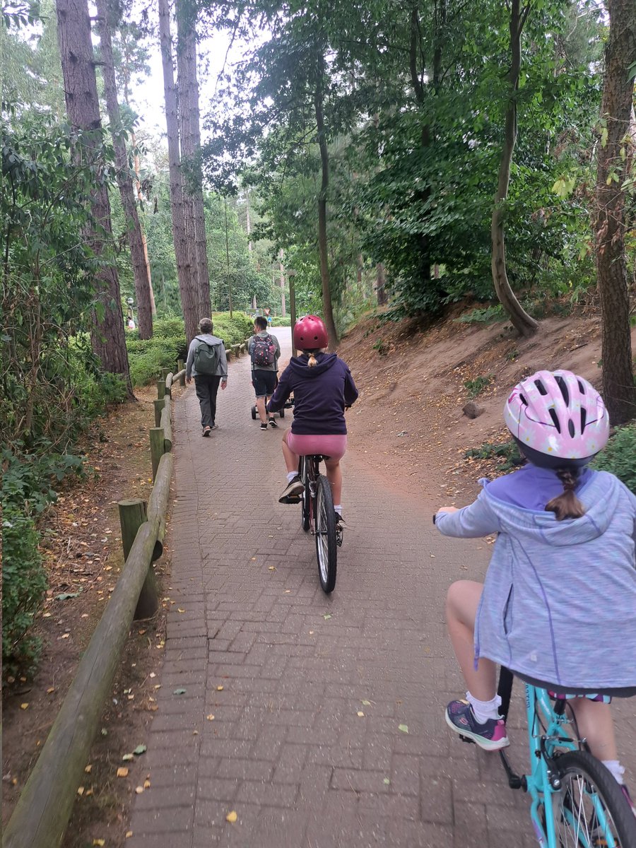 SarahSeaman8's tweet photo. Walking, biking and karting.... just a few of the activities the girls have done this week keeping active! #healthyselfie @staynorHprimary #mycp https://t.co/K9hLjEZjo6