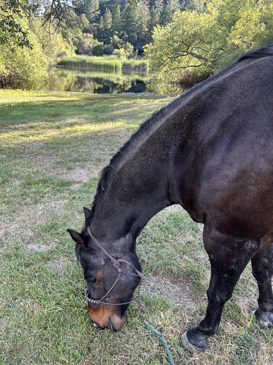 Snack time down at the lake!