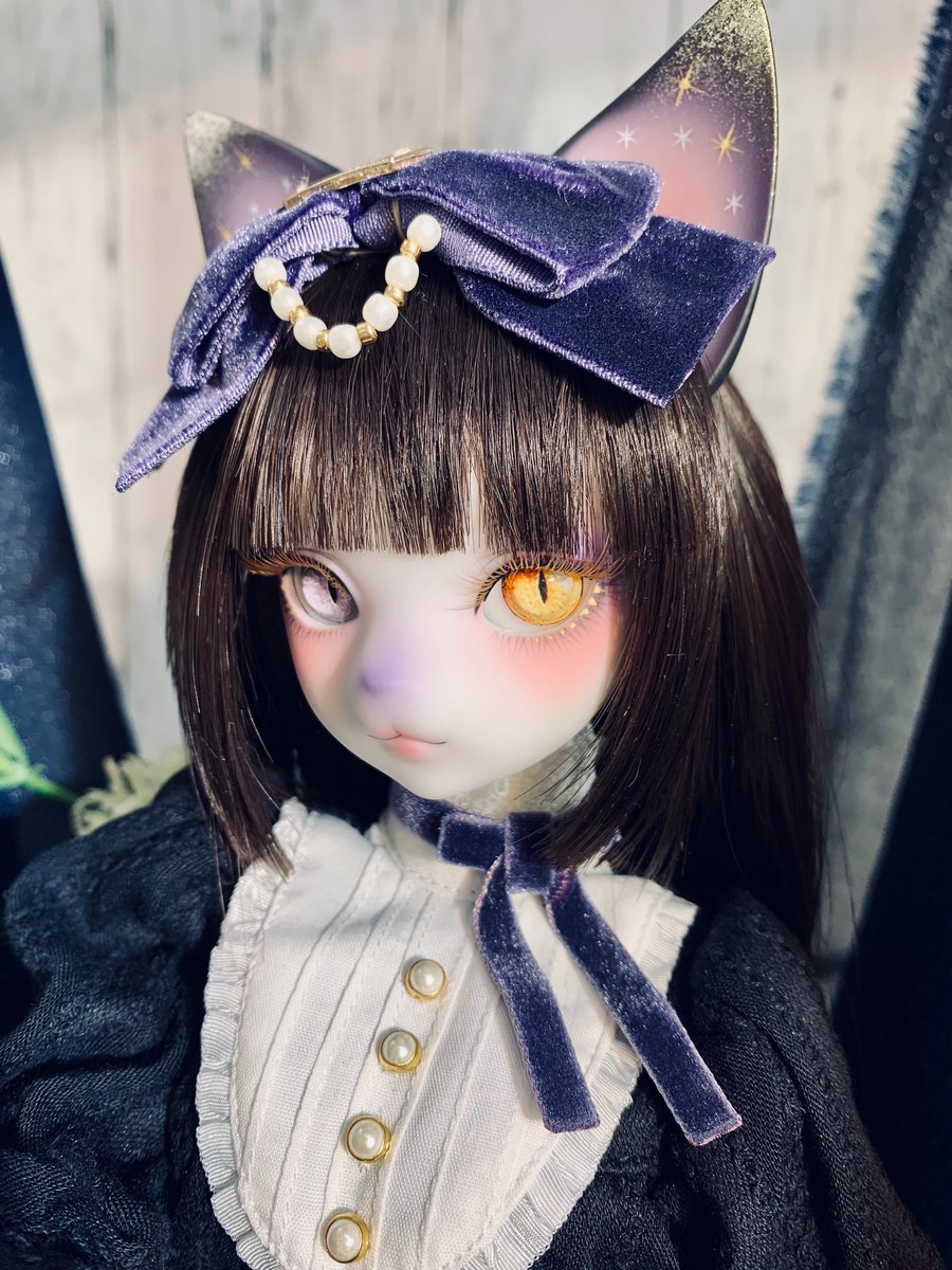 邦楽 VELVET DoLL DOLK2F♢お知らせ】 『星空×ハチワレ猫』 DOLK×DEAR MINE様✨【VIVIEN