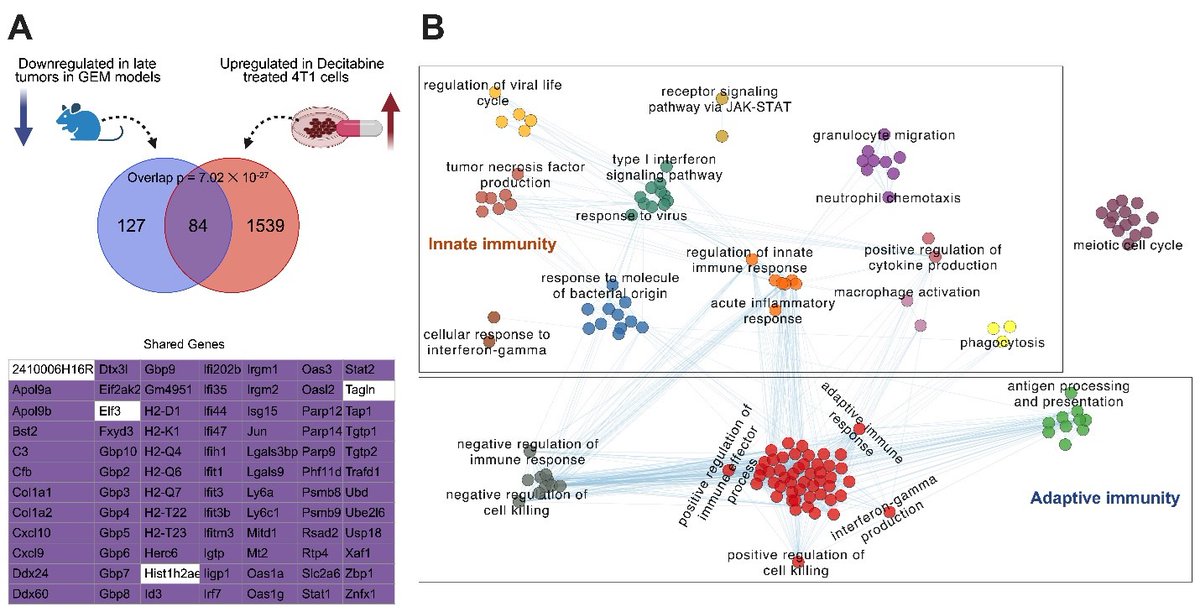 Dr. Ying Zhang and collaborators found that early tumor editing preferentially suppresses innate immune signaling to reduce tumor immunogenicity, which can be reversed by inhibiting DNA methylation. #PKUResearch 
nature.com/articles/s4159…