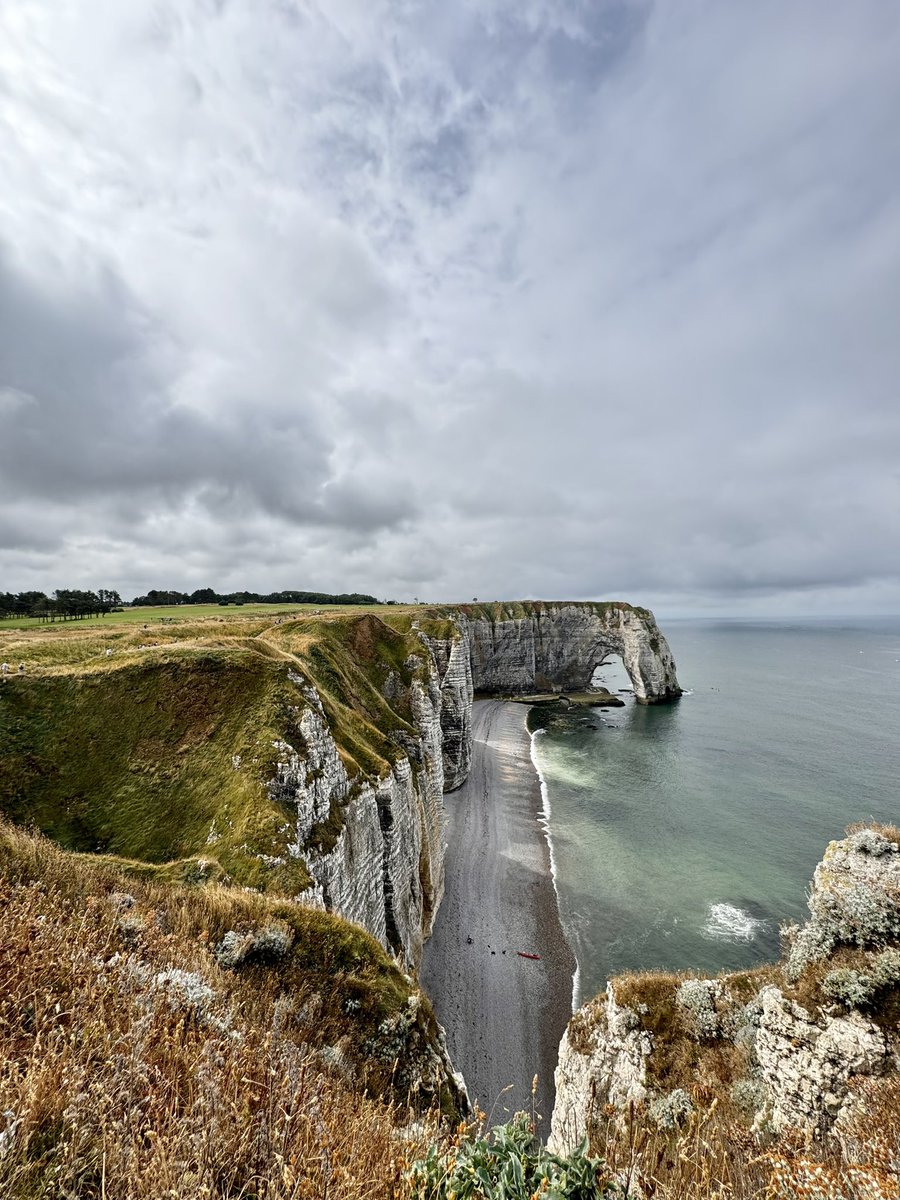 Matteo Prato  tweet media