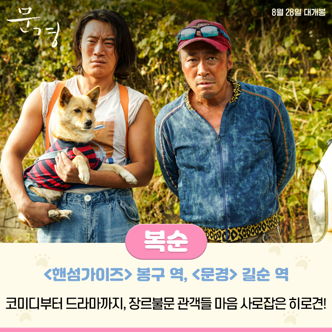 <추락의 해부>부터 <문경>까지! 관객들 마음 사로잡은 연기 댕잘하는 천재 연기견들🐶 복순이의 천재 연기가 궁금하다면? 8월 28일, <문경>에서...