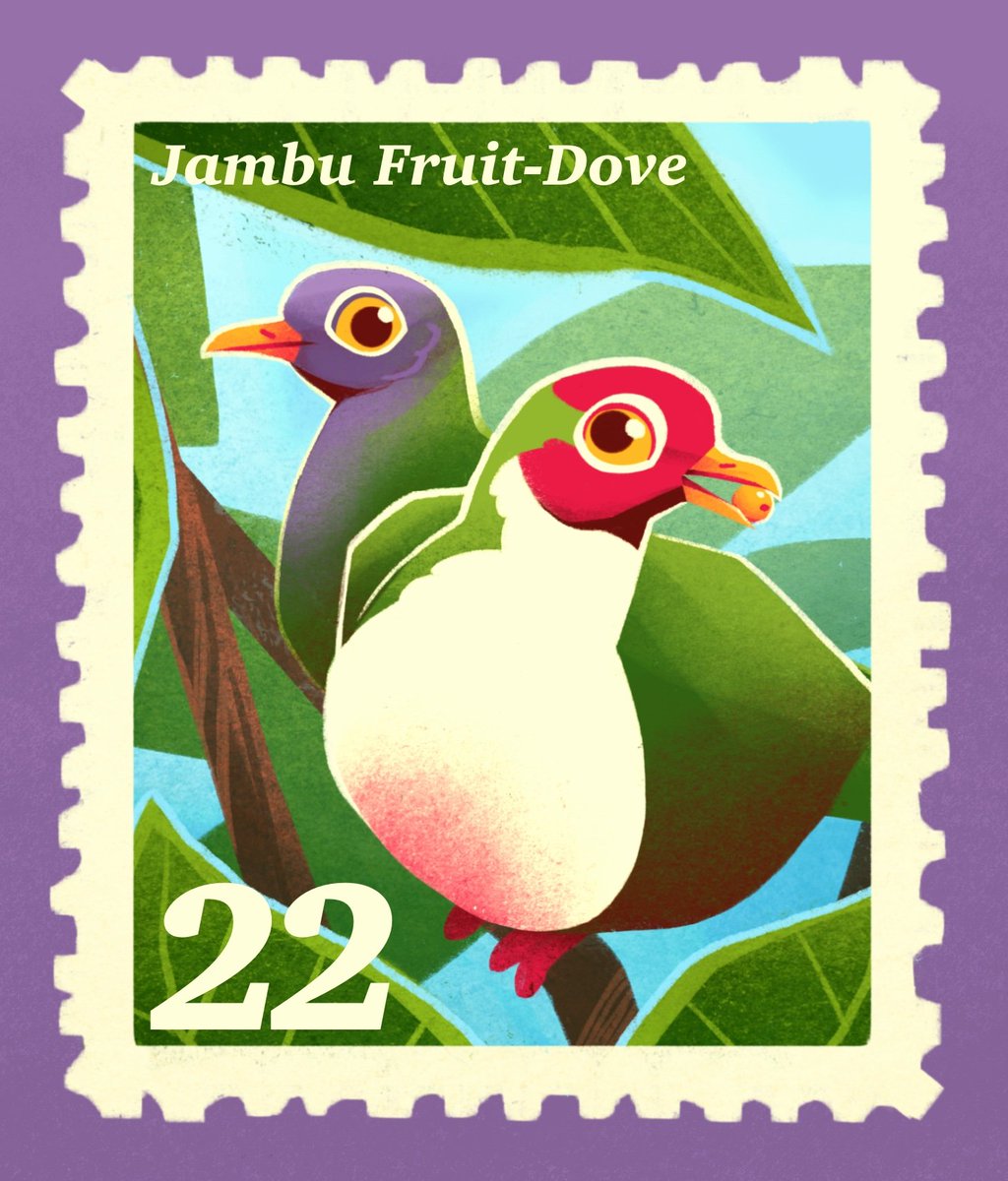 _HoneyHobbit_'s tweet image. #avianaugust2024 day 22, the jambu fruit dove!
