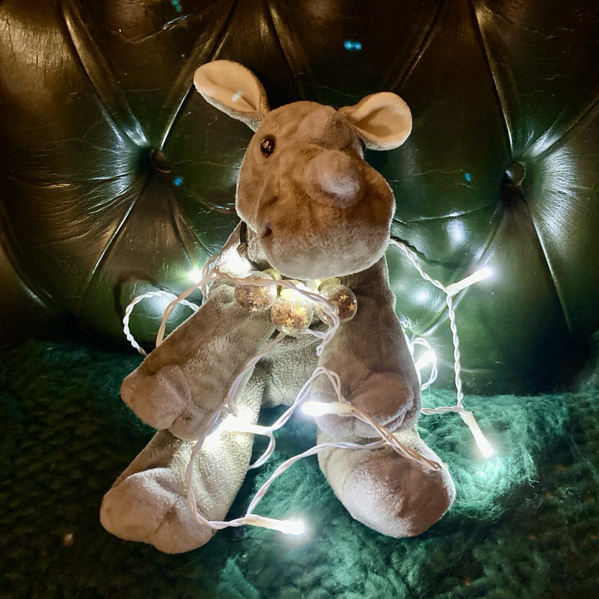 Today I celebrate my coaching qualification, everyone who has shared coaching time and space with me, and everyone that has cheered me on. It's been one of the best learning journeys and personal journeys so I also celebrate me! Here's to feeling shiny and sparkly.