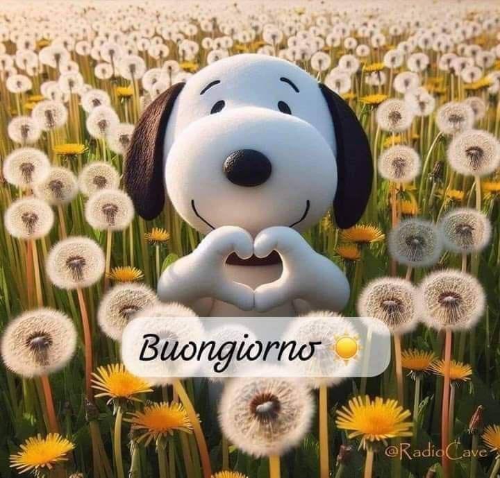 RITABIANCHi56 tweet media