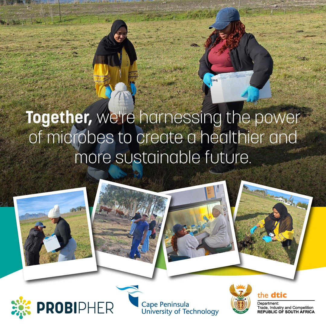 Probipher is proud to partner with CPUT on a groundbreaking research project funded by the DTIC. Our collaboration focuses on developing innovative probiotic solutions that will revolutionise animal health and agriculture in Africa. #Probipher #CPUT #DTIC #Research #Collaboration