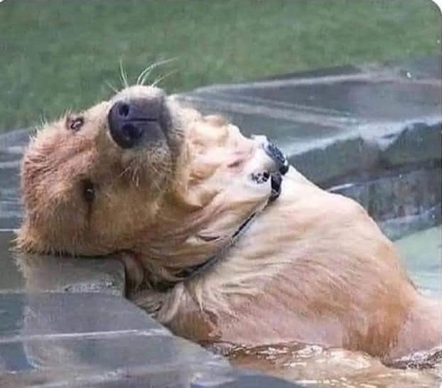 Yo, pensando que hace nada era 1 de julio y que estamos ya a 22 de agosto.