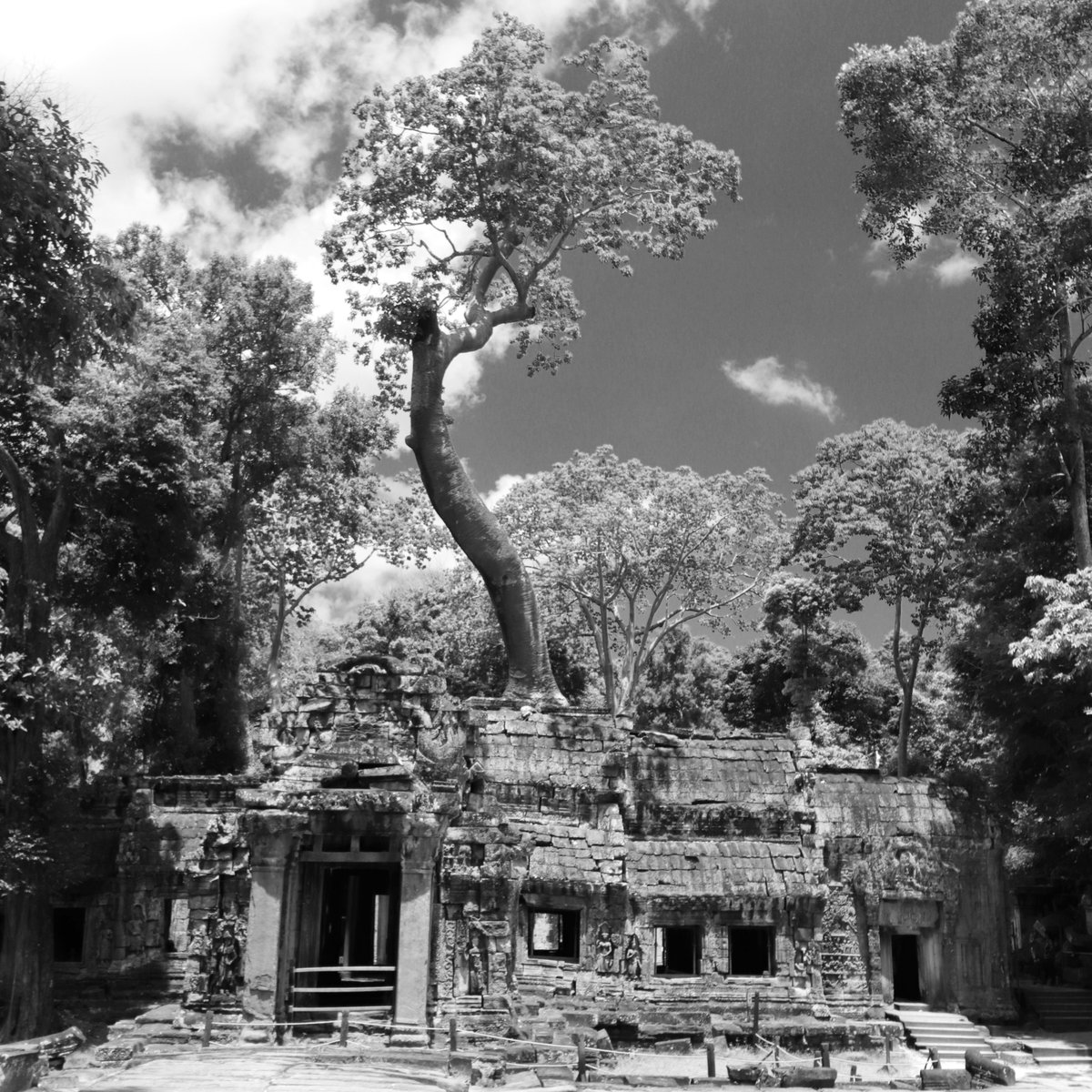 DeadManRunning1's tweet photo. Ta Phrom Temple, Angkor, Siem Reap, Cambodia, 2024
#taphrom #taphromtemple #angkor #angkortemples #siemreap #cambodia #khmer #travel #travelphotography https://t.co/eyiV66XfCn