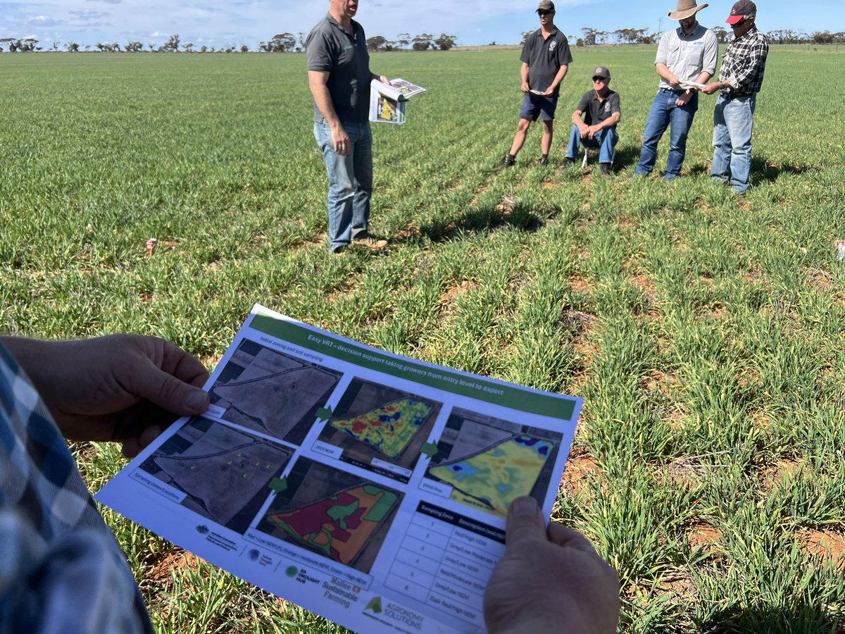 MsfMallee's tweet image. Perfect afternoon to check out #Lowbank Ag Bureau mid year crop walk looking at different trials across the area. Participants having great discussion on dry seeding agronomy. #EasyVRt #MSFprojects @SADroughtHub @AgSolutionsOz @MRLandscapeSA @AgEngUniSA
