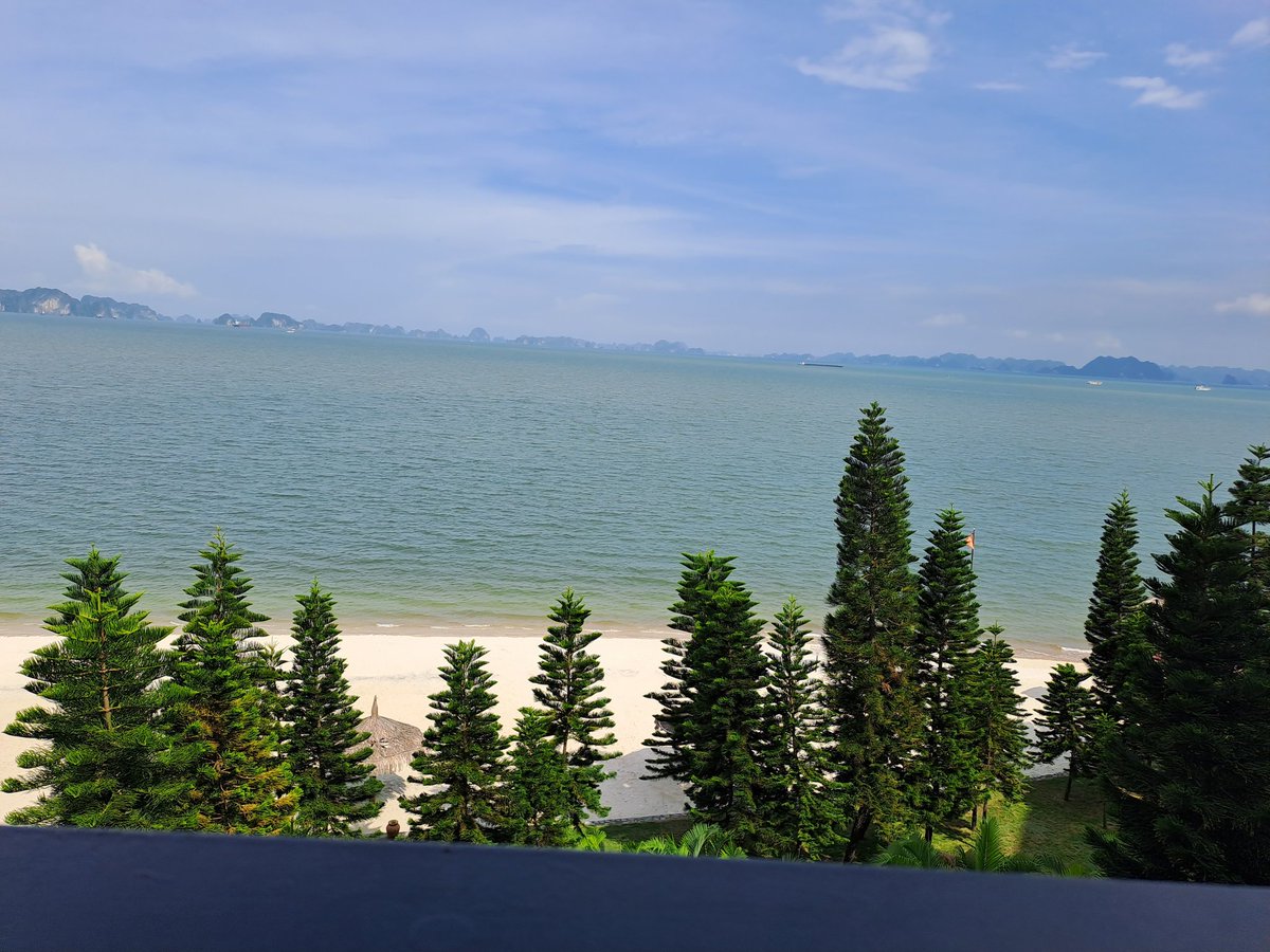 lethuonghd86's tweet photo. Reu island- HaLong bay
#halongbay 
#vietnam
#greatholiday 
#travel https://t.co/NBOHKgnqqK