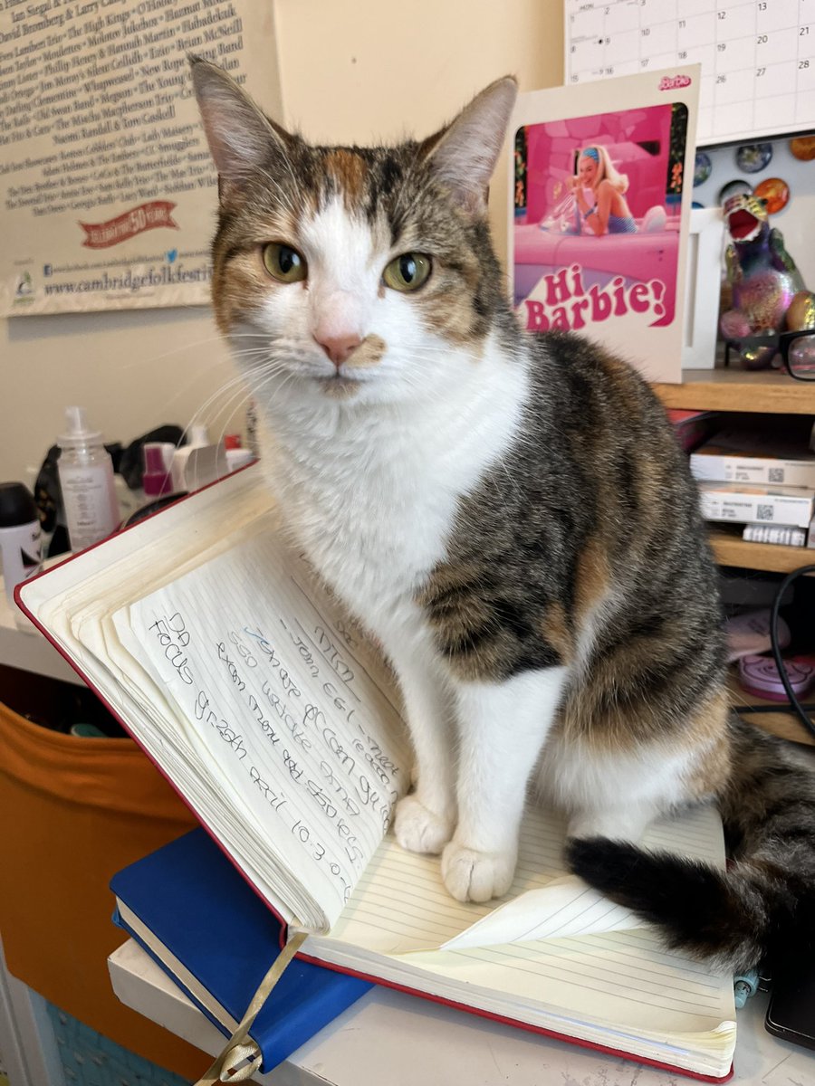 AliandTrevor's tweet image. Our beloved little cat Bertie is missing. She lives in #fulbourn if you see her please contact me.