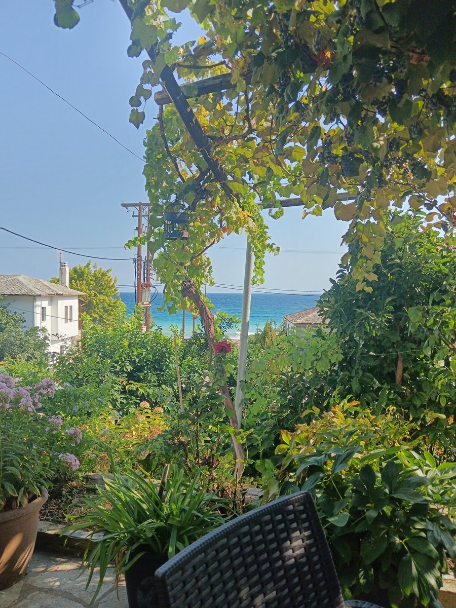 Guten Morgen aus Khorevton