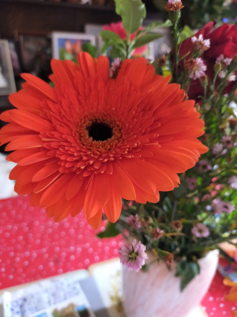 Clariss96192813's tweet photo. @DMiller52325459 Part of a bouquet of flowers I was given for my wedding anniversary #Flowers #celebration #boquets https://t.co/6IlyzQlX8w