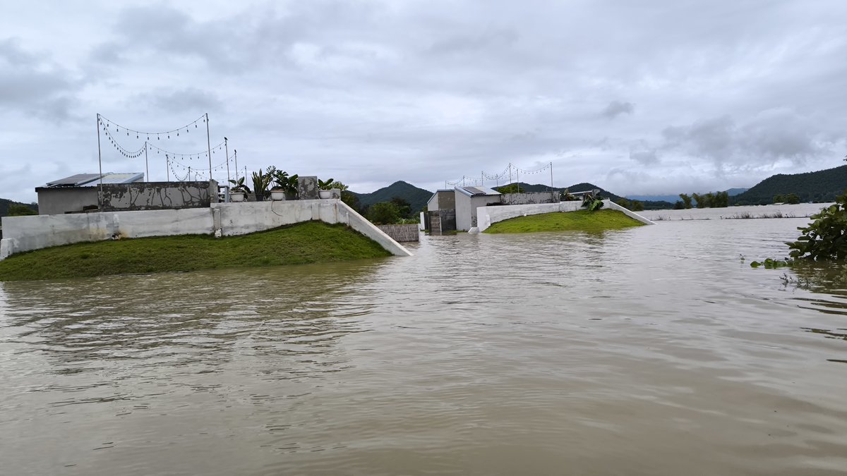 nut930115's tweet image. ไร่รื่นรมย์ถูกน้ำท่วมเสียหายทั้งหมด โรงงาน ออฟฟิศ ที่พักฟาร์มสเตย์ รวมถึงปศุสัตว์ได้รับความเสียหายทั้งหมด พนักงานช่วยกันขนย้ายสิ่งของต่างๆ และมีบางส่วนยังไม่ได้ขนออกไปได้แค่ยกขึ้นในพื้นที่สูง #น้ําท่วม #น้ําท่วมเชียงราย