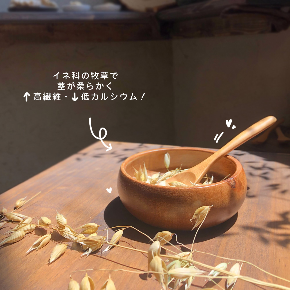 leaf_usayama's tweet photo. ✨新商品紹介✨

『国産　オーツヘイの穂　50g』
小動物大喜びのおやつが新登場！！🌾

プロフィール概要欄にあるチャーム販売サイトから
『国産　オーツヘイの穂　50g』
と検索してチェックしてみてください！

実際にうさまるに与えてる動画はインスタで見れます！

＃USAYAMA #国産 ＃小動物おやつ https://t.co/wBrcLafwRq