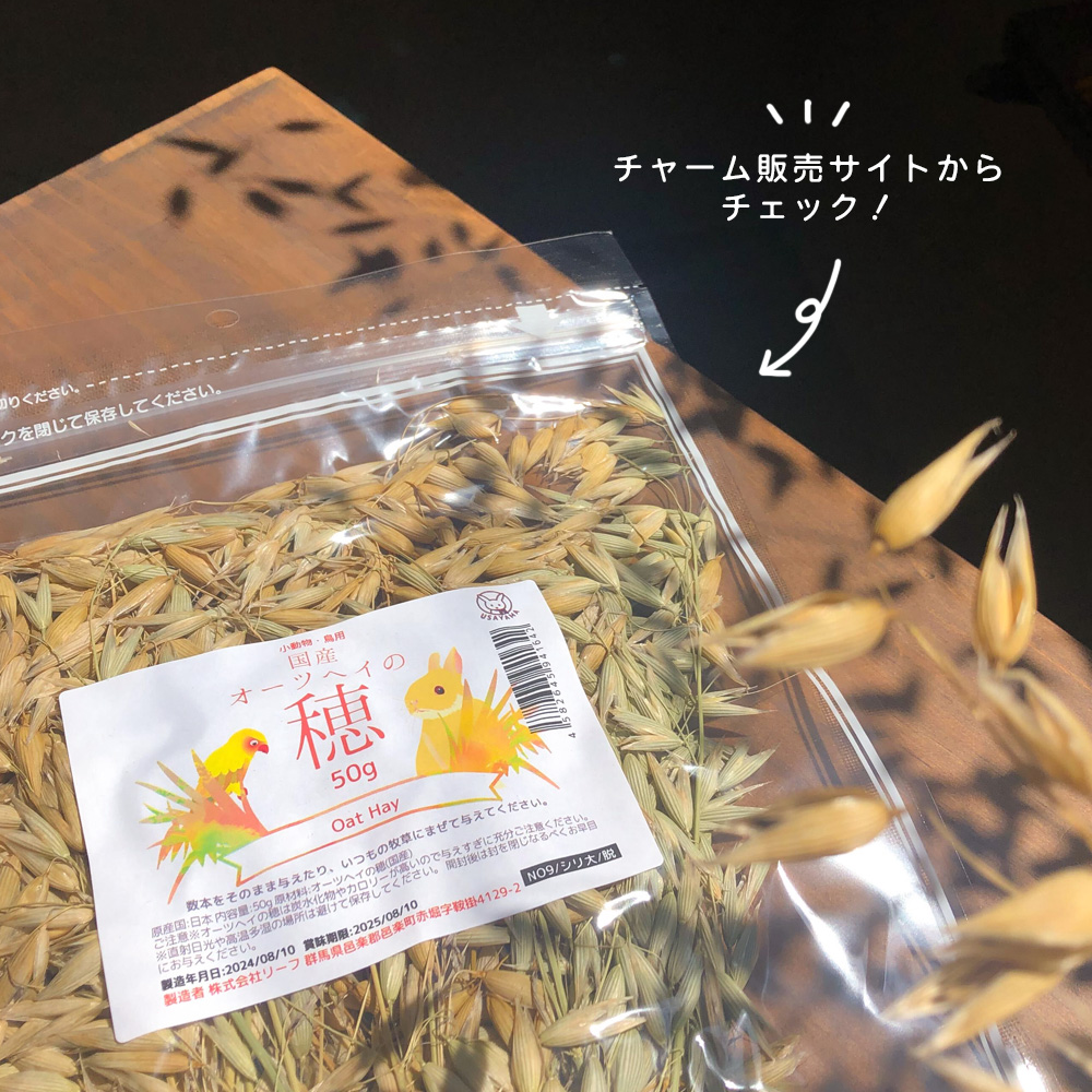 leaf_usayama's tweet photo. ✨新商品紹介✨

『国産　オーツヘイの穂　50g』
小動物大喜びのおやつが新登場！！🌾

プロフィール概要欄にあるチャーム販売サイトから
『国産　オーツヘイの穂　50g』
と検索してチェックしてみてください！

実際にうさまるに与えてる動画はインスタで見れます！

＃USAYAMA #国産 ＃小動物おやつ https://t.co/wBrcLafwRq