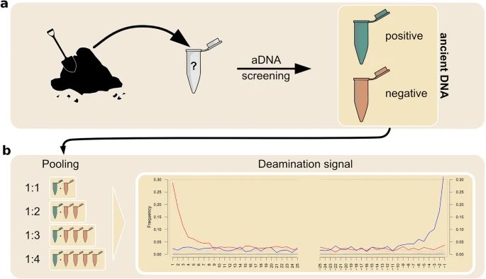 Happy to announce our methodological paper on sedaDNA is out!
Make sure to check it out if you’re interested in facilitating and speeding up your screening process! <a href="/PinhasiL/">Pinhasi Lab</a> 

nature.com/articles/s4159…