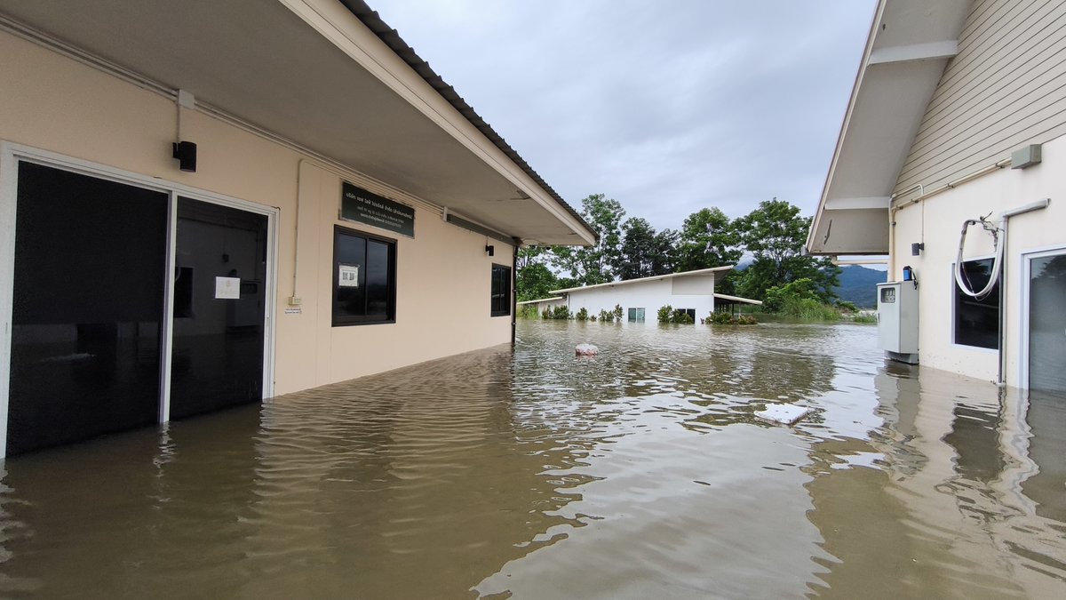 nut930115's tweet image. ไร่รื่นรมย์ถูกน้ำท่วมเสียหายทั้งหมด โรงงาน ออฟฟิศ ที่พักฟาร์มสเตย์ รวมถึงปศุสัตว์ได้รับความเสียหายทั้งหมด พนักงานช่วยกันขนย้ายสิ่งของต่างๆ และมีบางส่วนยังไม่ได้ขนออกไปได้แค่ยกขึ้นในพื้นที่สูง #น้ําท่วม #น้ําท่วมเชียงราย