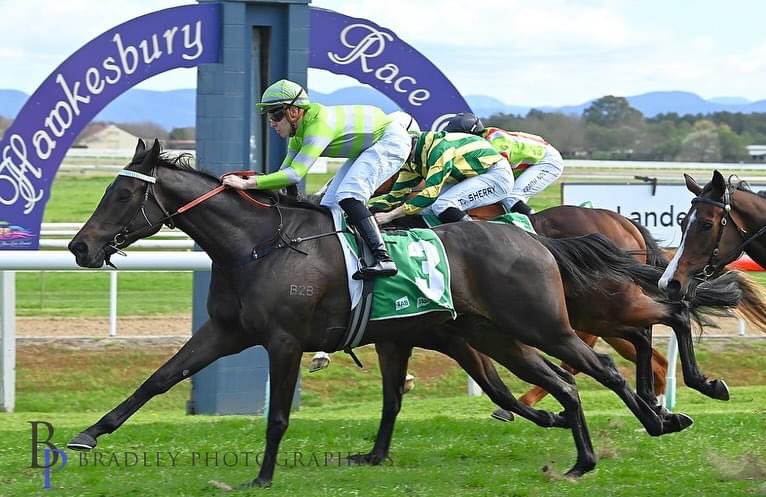 B2B Thoroughbreds (@b2bthoroughbred) on Twitter photo Congratulations to our great friends Brad Hunt and <a href="/benny_bkrace/">Benny Vassallo</a> with the win of NOISES (Microphone x Beetobee). Looks ready to rapidly climb through the grades! Was born, raised and sold to BK Racing <a href="/mmsnippets/">Magic Millions</a>. Congratulations to all connections <a href="/BWiddupRacing/">BradWiddupRacing</a> and Zac Waddick! Congratulations to our great friends Brad Hunt and <a href="/benny_bkrace/">Benny Vassallo</a> with the win of NOISES (Microphone x Beetobee). Looks ready to rapidly climb through the grades! Was born, raised and sold to BK Racing <a href="/mmsnippets/">Magic Millions</a>. Congratulations to all connections <a href="/BWiddupRacing/">BradWiddupRacing</a> and Zac Waddick!