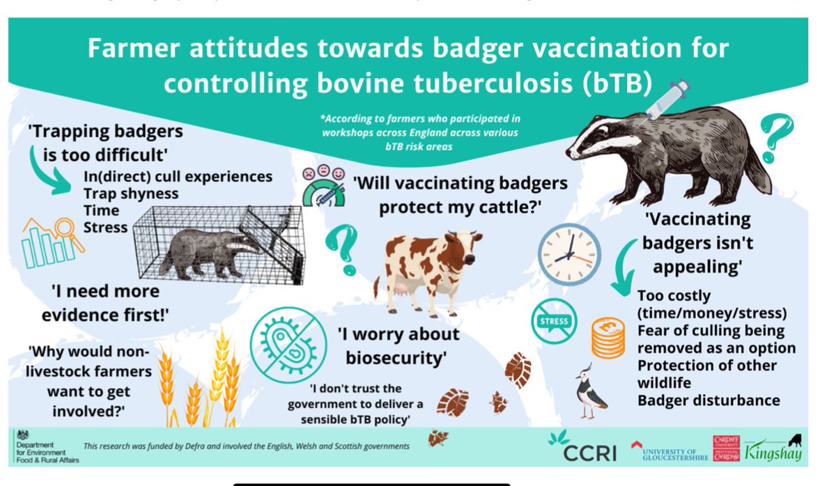 sarah tomlinson (@sjtomo157) on Twitter photo I was involved in a social science research project and farmers caring about the effects badgers had on other wildlife was often a concern raised <a href="/cachivers/">Dr Charlotte Chivers</a> <a href="/GarethEnticott/">Gareth Enticott 🏴</a> <a href="/DamianMaye/">Damian Maye</a> @to_lnr I was involved in a social science research project and farmers caring about the effects badgers had on other wildlife was often a concern raised <a href="/cachivers/">Dr Charlotte Chivers</a> <a href="/GarethEnticott/">Gareth Enticott 🏴</a> <a href="/DamianMaye/">Damian Maye</a> @to_lnr