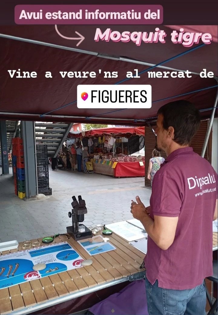 programatigre tweet media