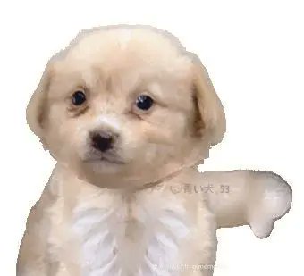 AXLOTL_'s tweet image. had to throw out a whole tub of crunchy cock butter cause it went bad SAD