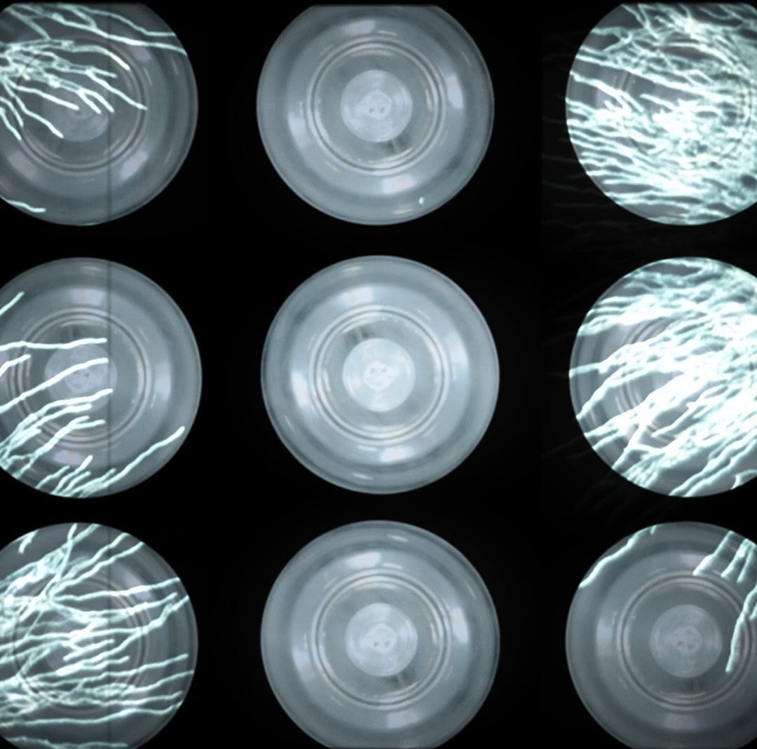 seansaysstuff's tweet image. Had the pleasure of making an experimental music video for ambient electronic artist Dextro.  youtu.be/CgBXsiWCjNM?si…