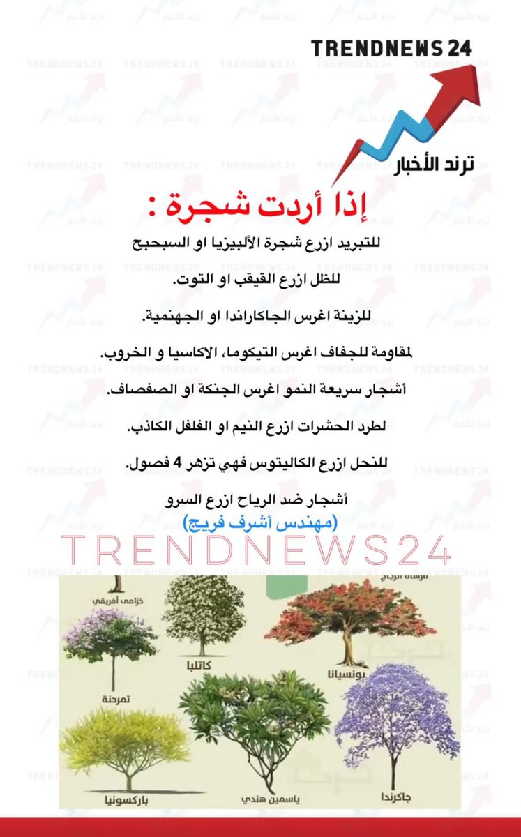 EngRiyadh44's tweet photo. عند زراعة الاشجار احفظها💡
اكتوبر وقت زراعه ✅ https://t.co/XR2o7g4oeQ